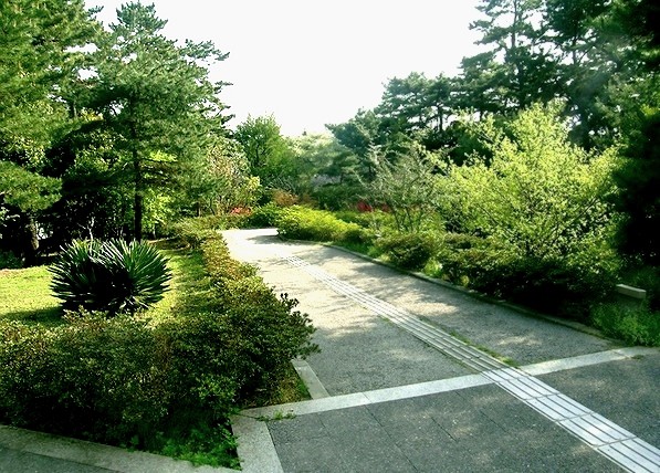 e0143690_5432245.jpg