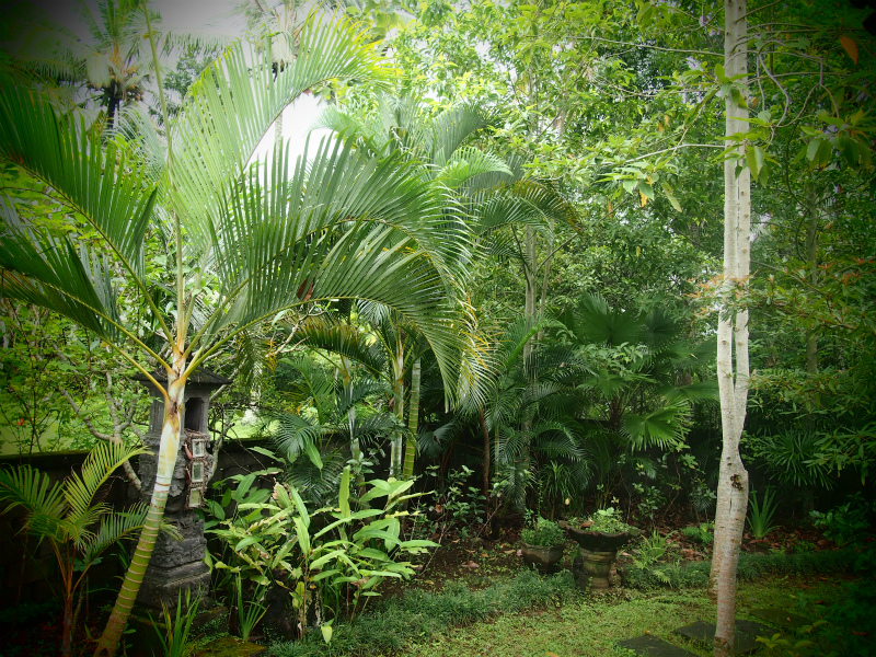 b0161391_10253419.jpg