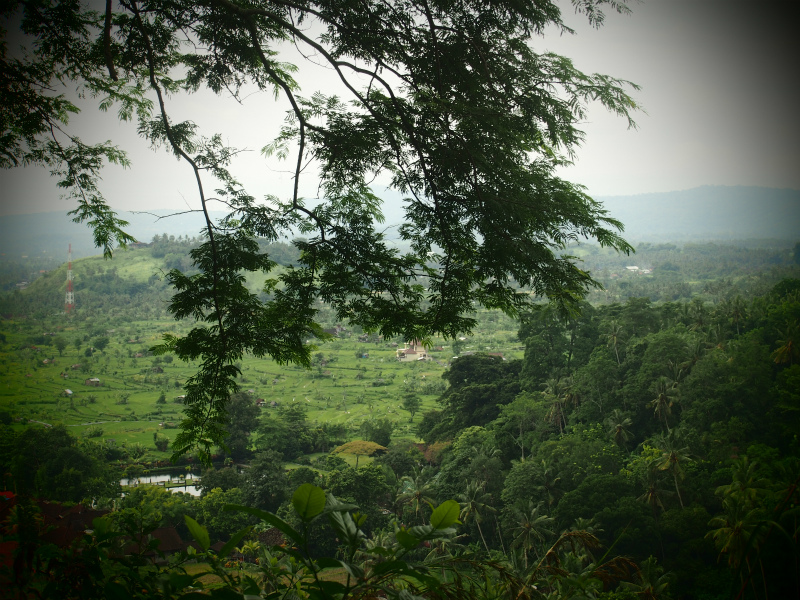 b0161391_10262549.jpg