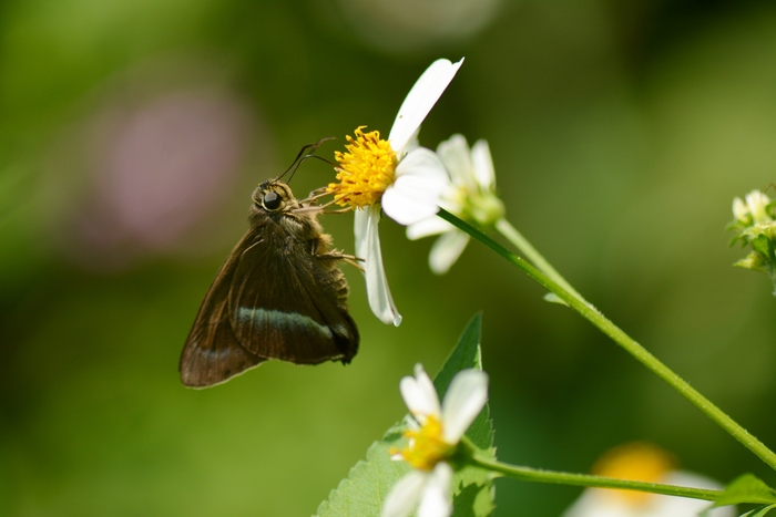 a0277496_16244639.jpg