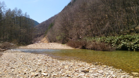 a0104199_22175126.jpg
