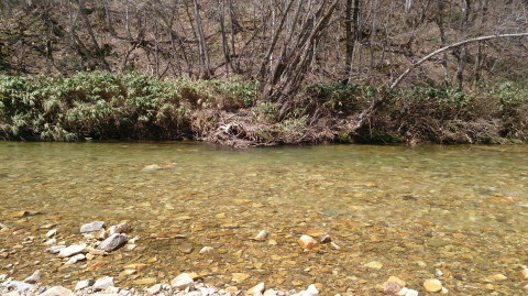 a0104199_22175524.jpg