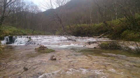 a0104199_22181235.jpg
