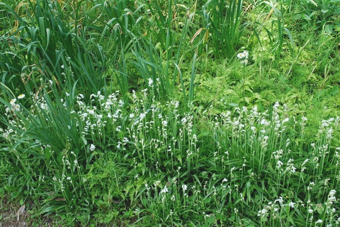 e0025300_143277.jpg