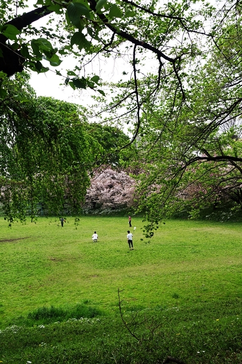 e0277800_9174938.jpg