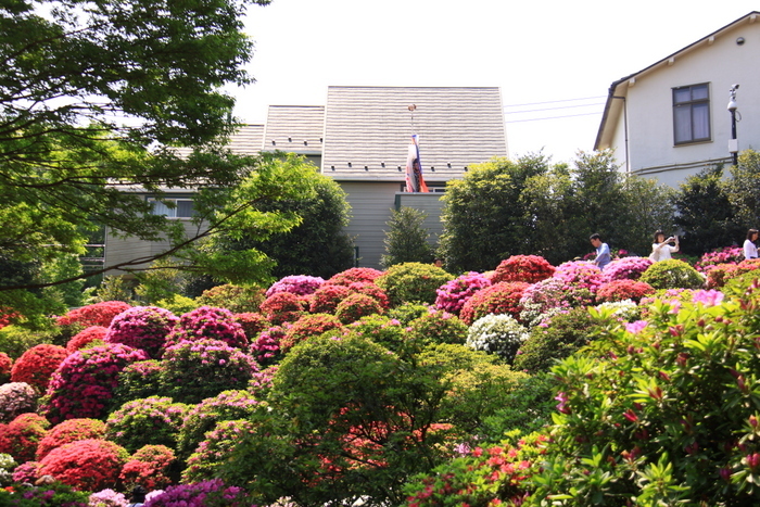 d0248502_22414783.jpg