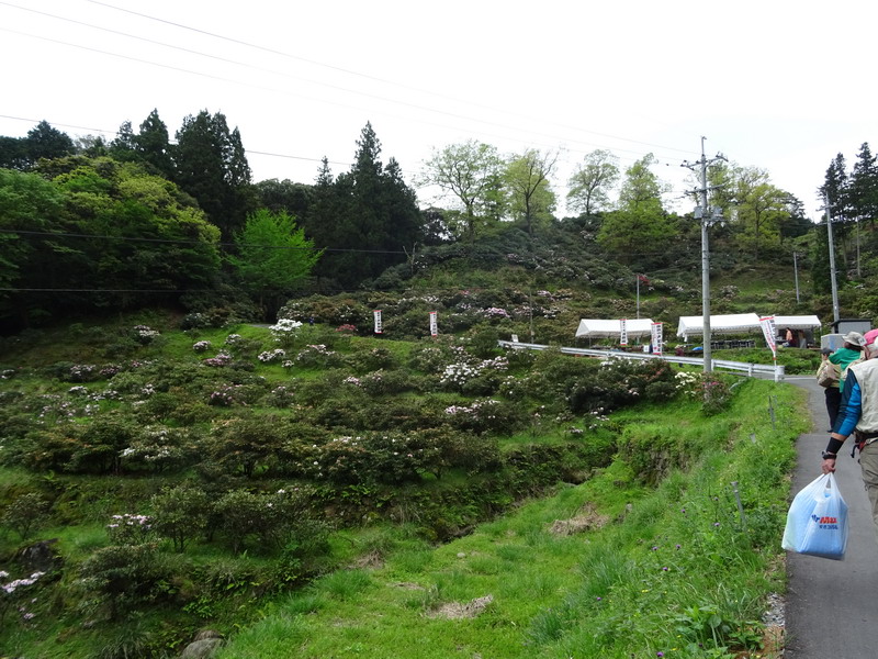 b0052108_2045790.jpg