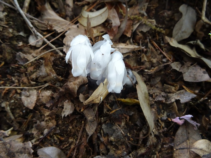 b0052108_2182499.jpg
