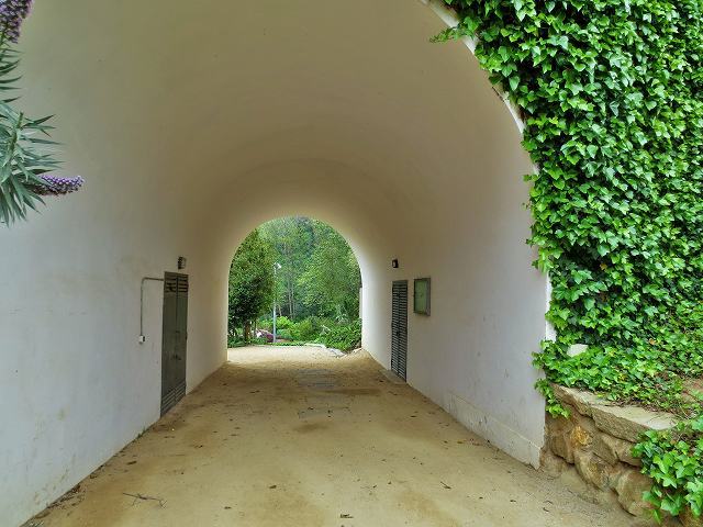 b0064411_07004754.jpg