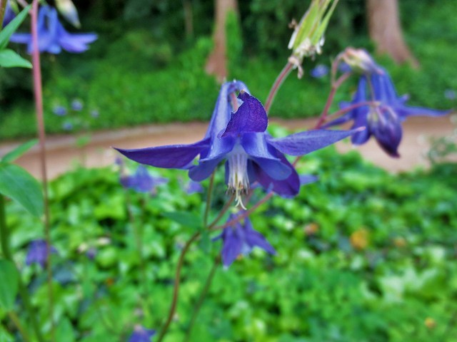 b0064411_07204610.jpg