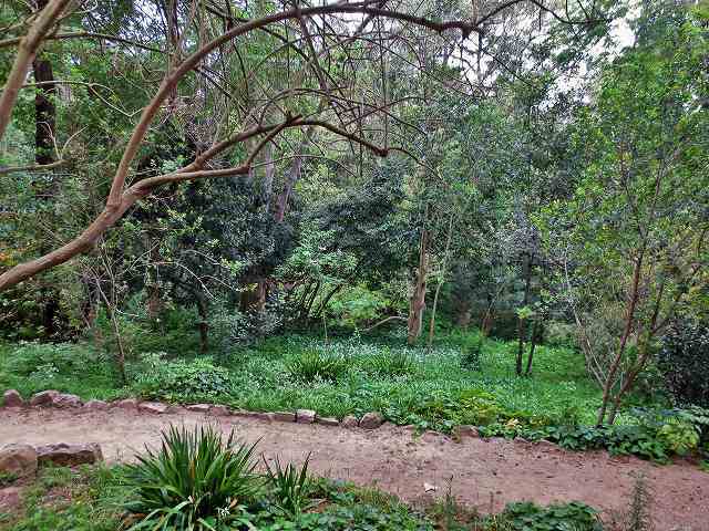b0064411_07260586.jpg