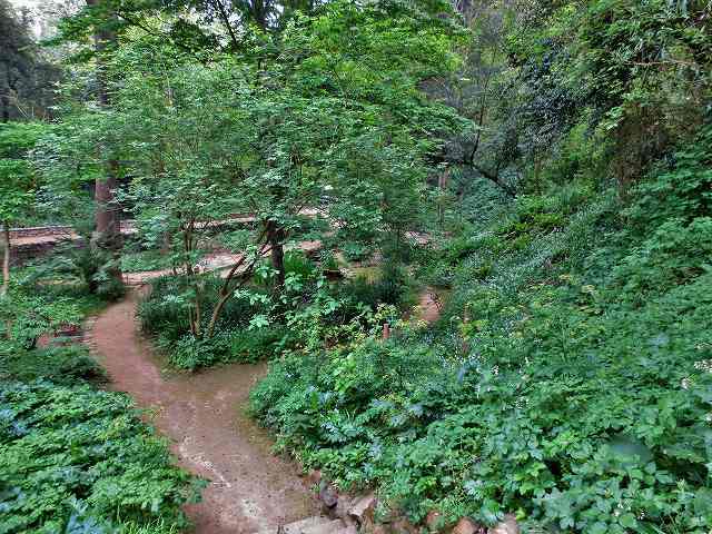 b0064411_07260616.jpg