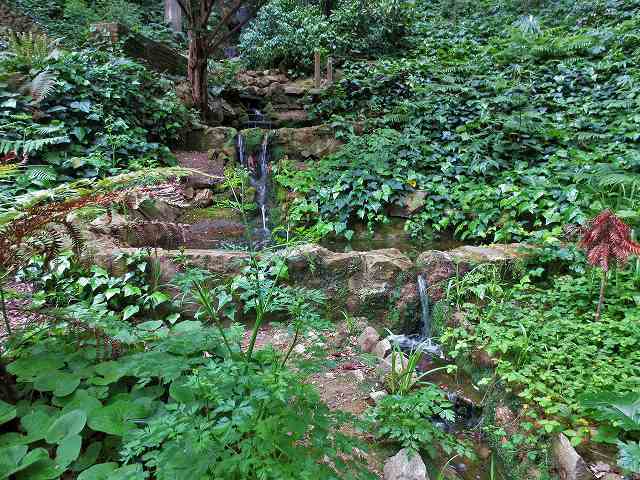 b0064411_07310682.jpg