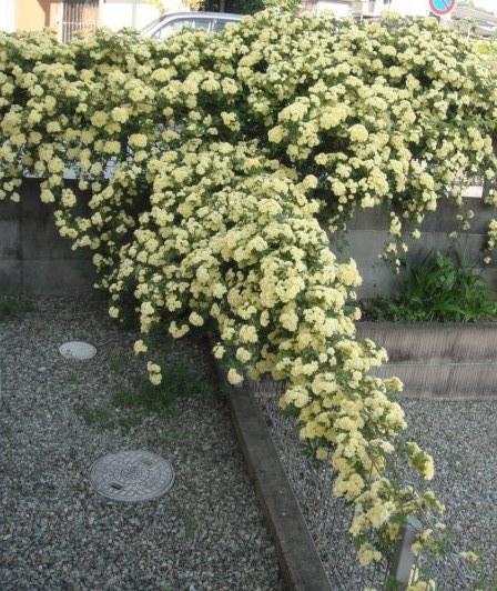 a0239418_18500841.jpg