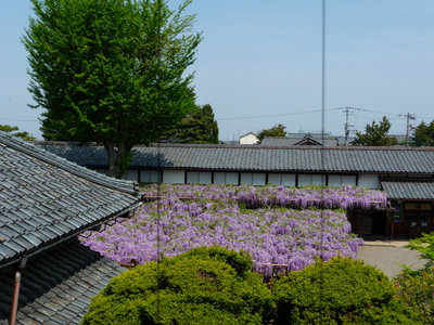 e0135219_1063348.jpg