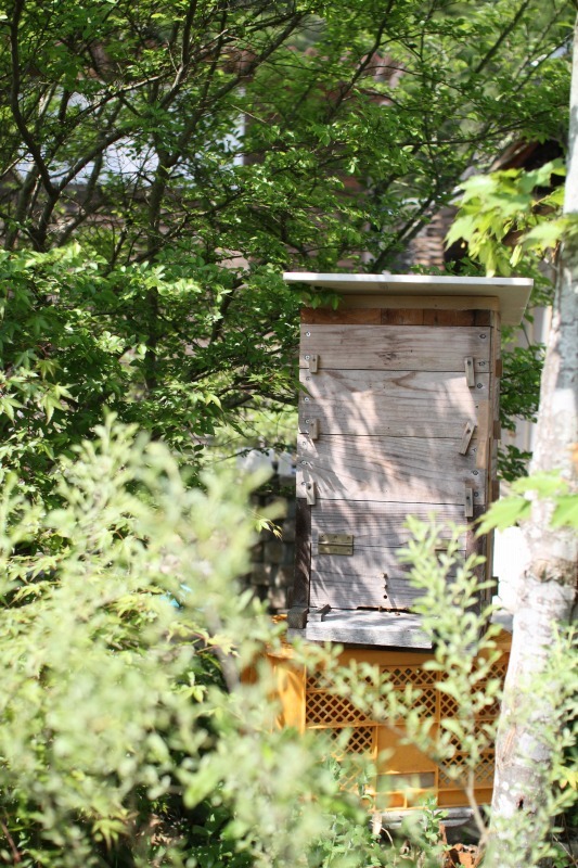 e0054022_13315128.jpg