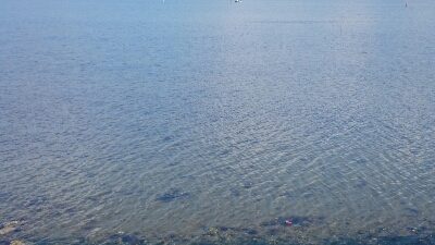b0259124_7191847.jpg
