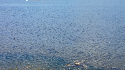 b0259124_8222882.jpg