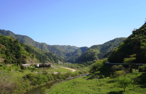 b0202125_7185786.jpg