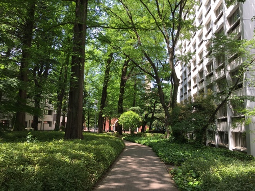 c0157625_19513951.jpg