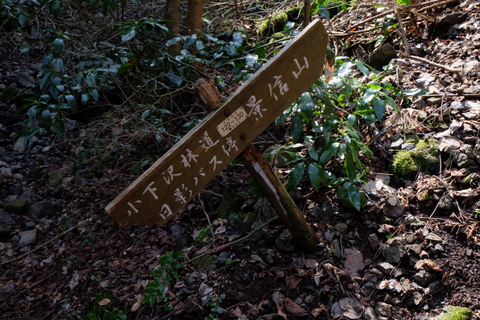 b0281732_9113738.jpg