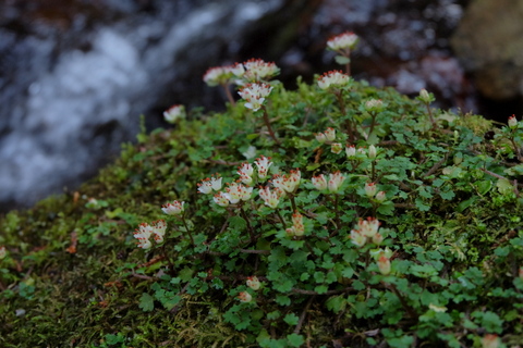 b0281732_9121619.jpg