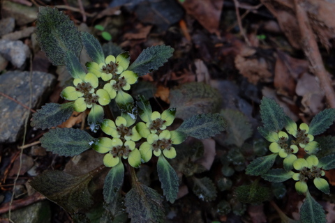 b0281732_9122536.jpg