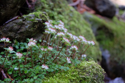 b0281732_9123961.jpg