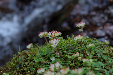 b0281732_912730.jpg