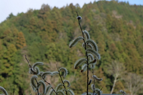 b0281732_972351.jpg