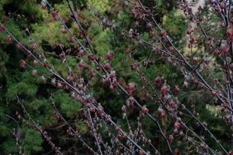 b0281732_97335.jpg