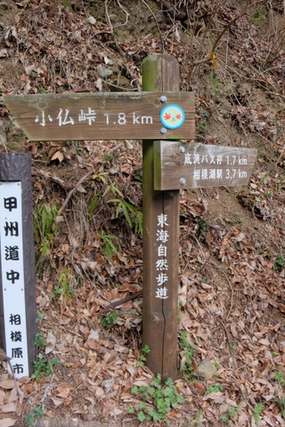 b0281732_98516.jpg