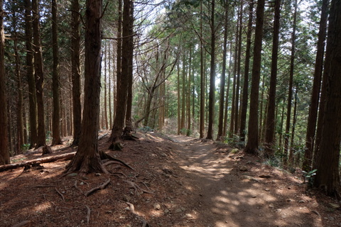 b0281732_994113.jpg