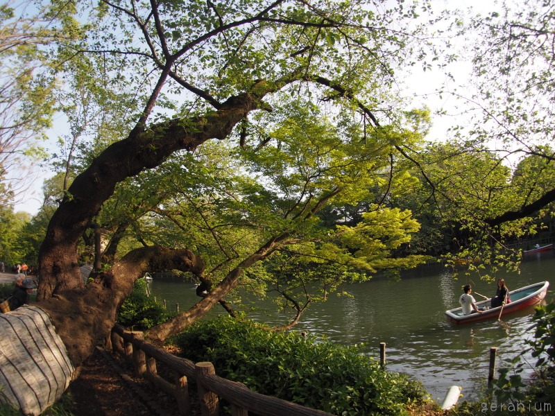 c0133533_14291157.jpg
