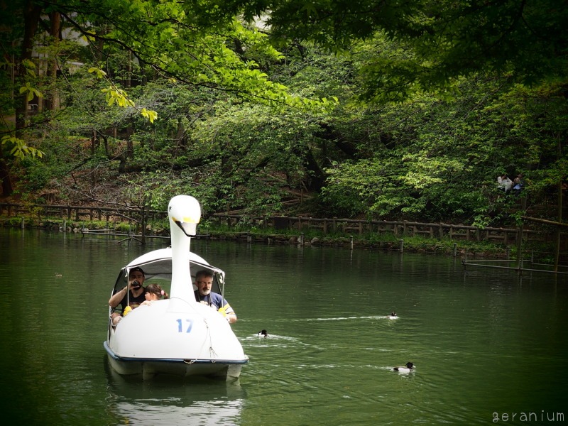 c0133533_14323429.jpg