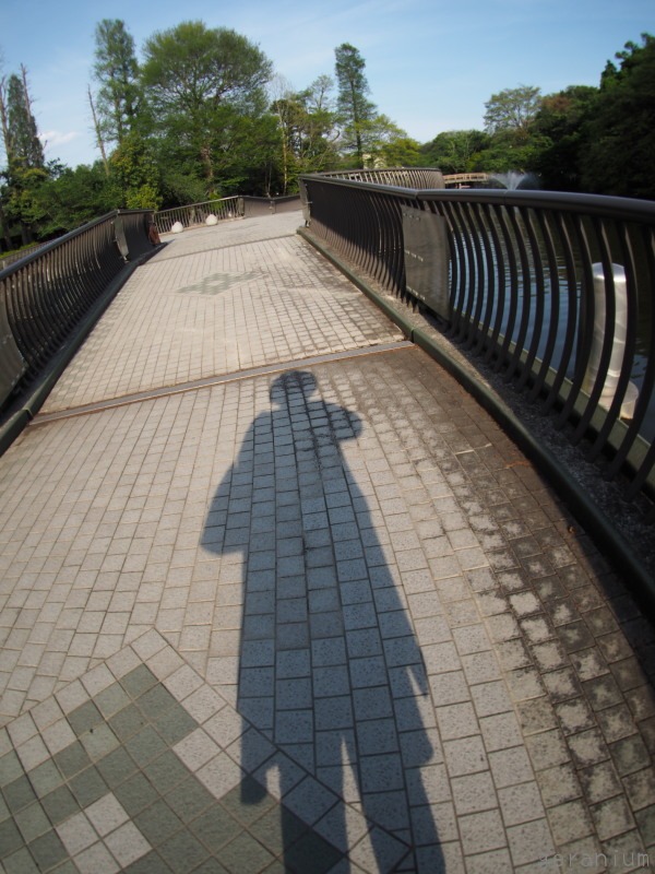 c0133533_14353412.jpg