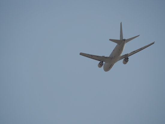 d0001533_048792.jpg