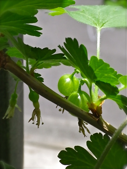 b0027736_13515611.jpg