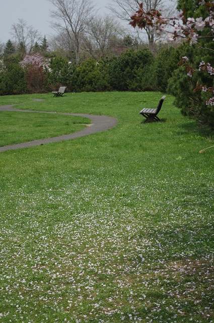 d0165741_17341568.jpg
