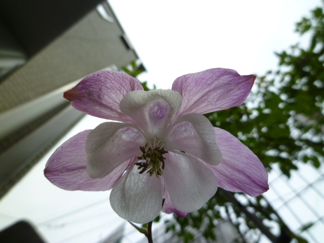 f0340942_13550836.jpg