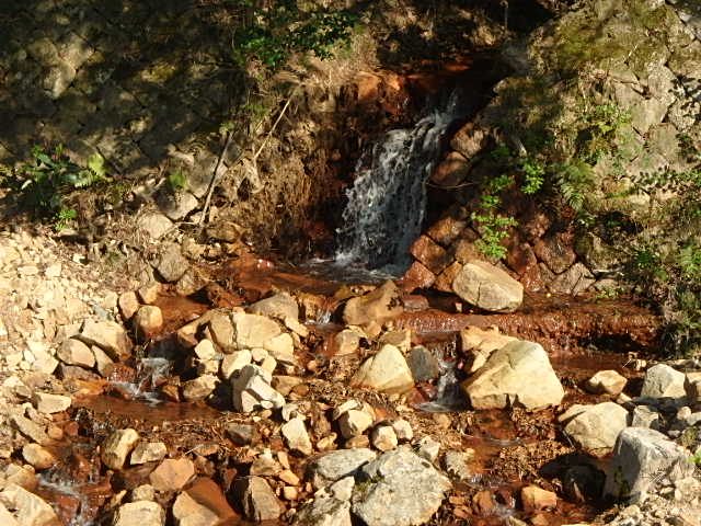 f0334143_8381116.jpg