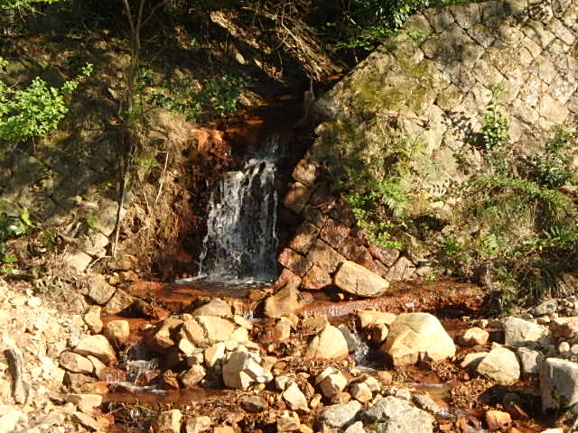 f0334143_8382972.jpg
