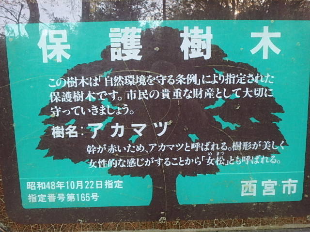f0334143_8395795.jpg