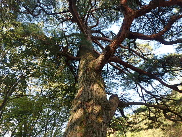 f0334143_8401455.jpg