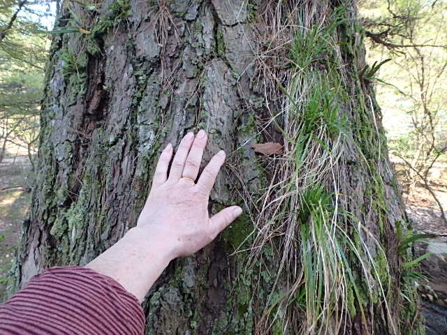 f0334143_8402223.jpg