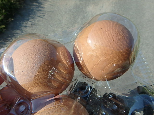 f0334143_845487.jpg
