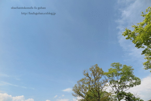 c0326245_11401370.gif