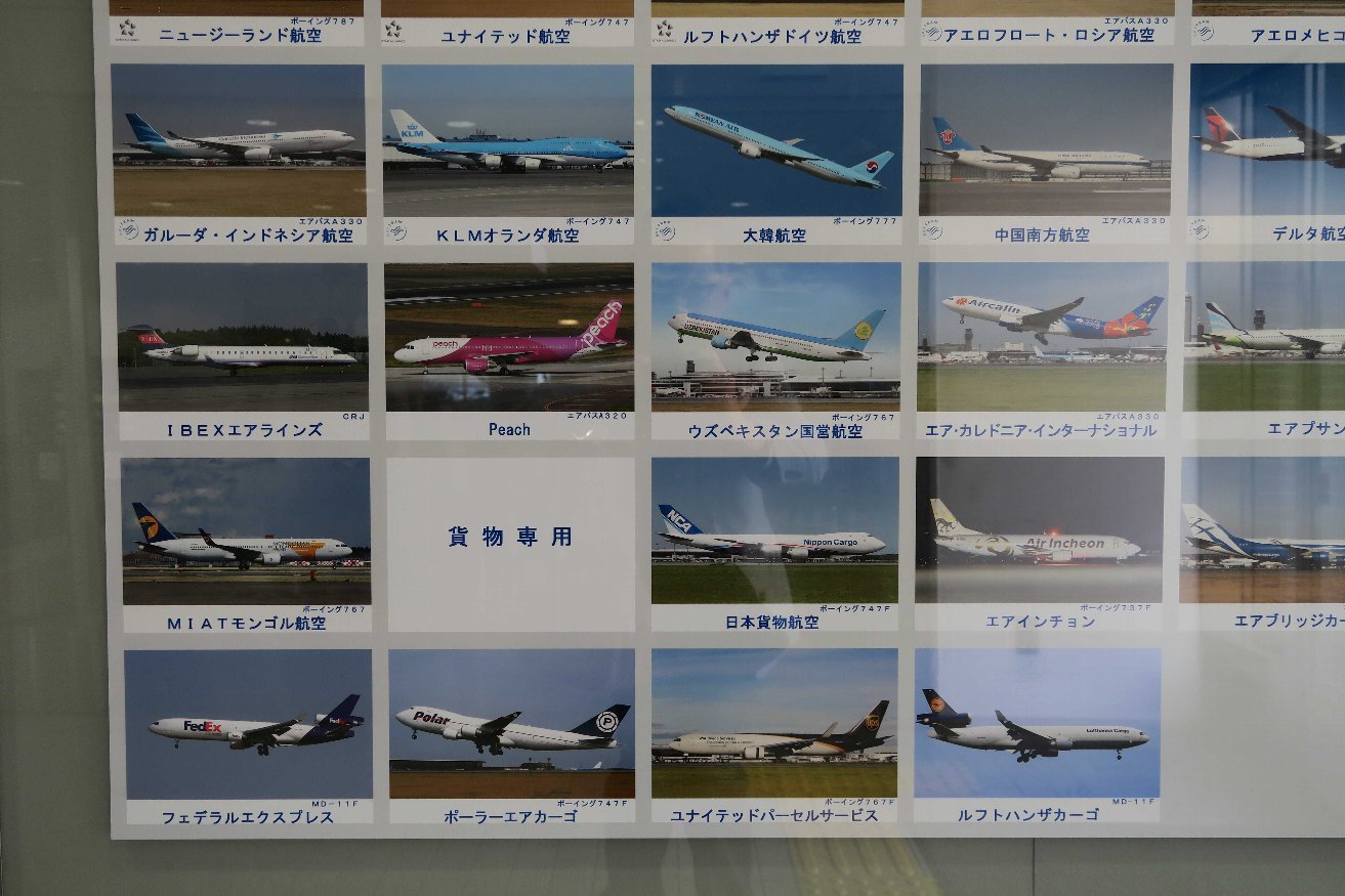 d0048750_910781.jpg