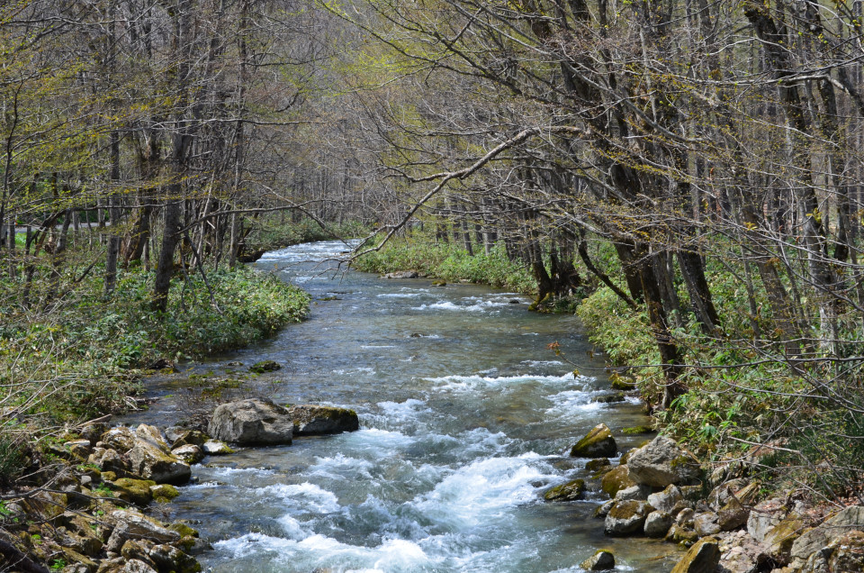 d0283357_20342223.jpg