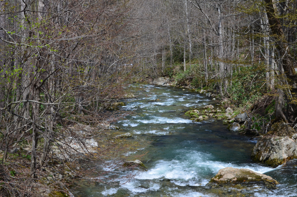 d0283357_20345492.jpg